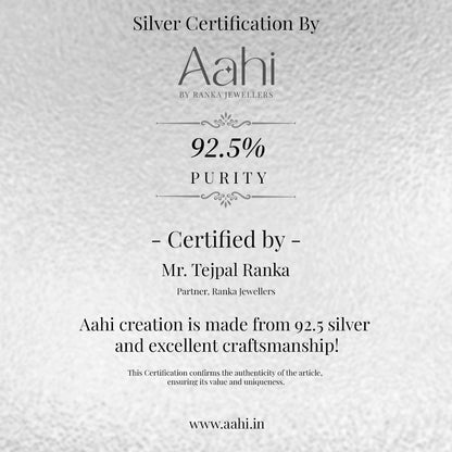Charming Silver Pichkari