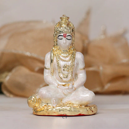 Shree Hanumanji Idol