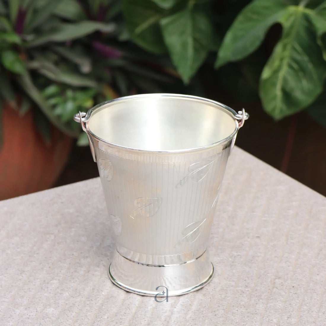 Holi Special Silver Bucket