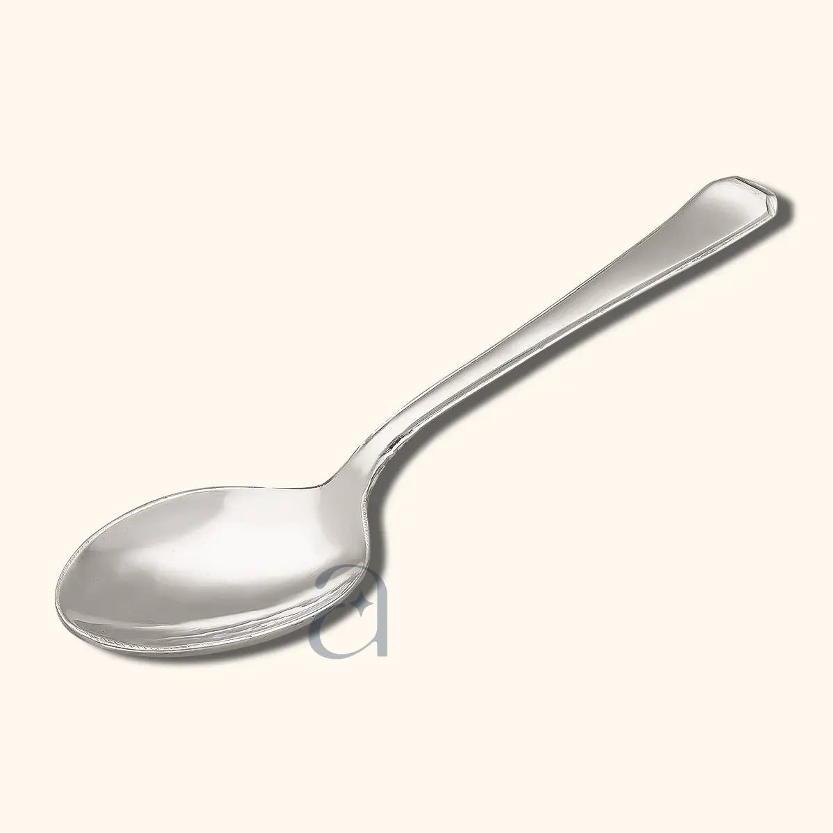 Lustrous Silver Spoon