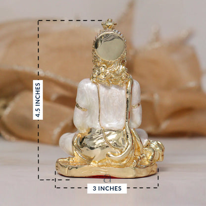 Shree Hanumanji Idol